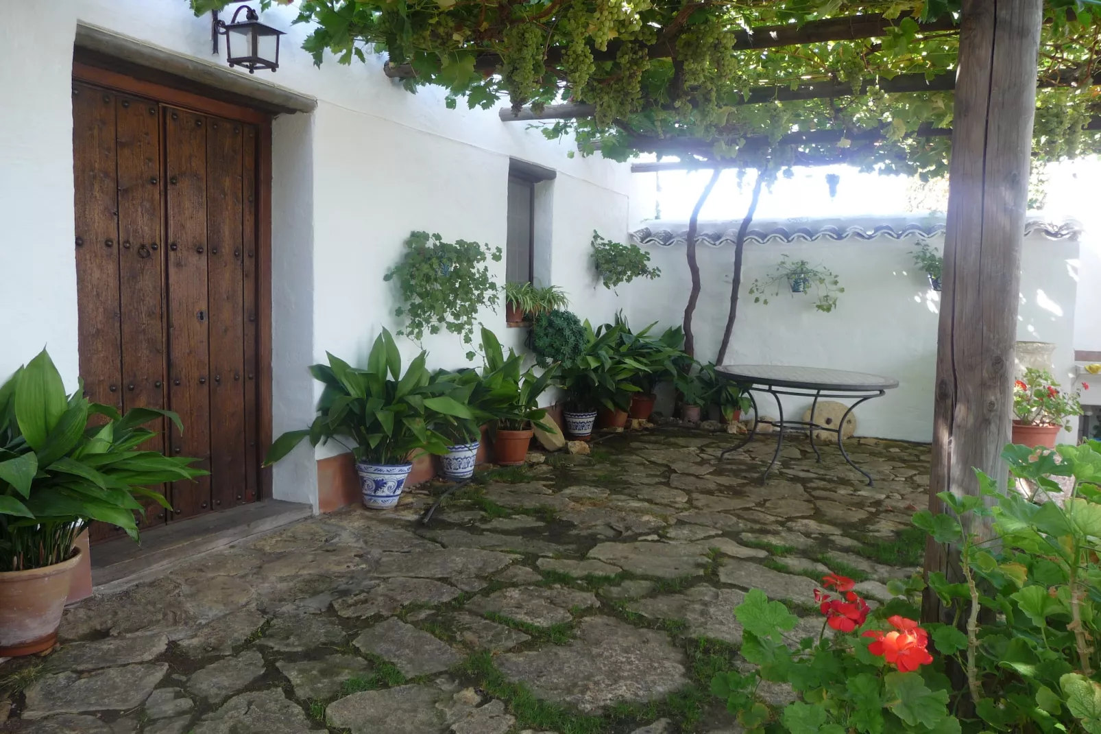 Cortijo El Morron - Tuinen zomer