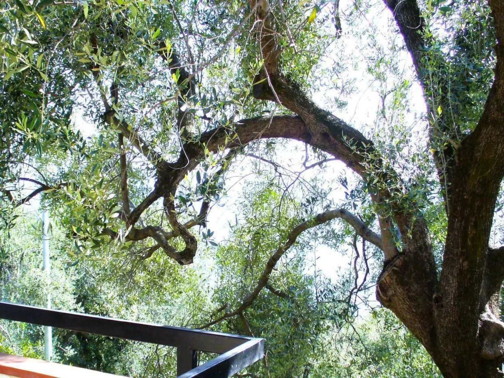 Appartement mit Garten, Terrasse und Grill - Image-tags.info