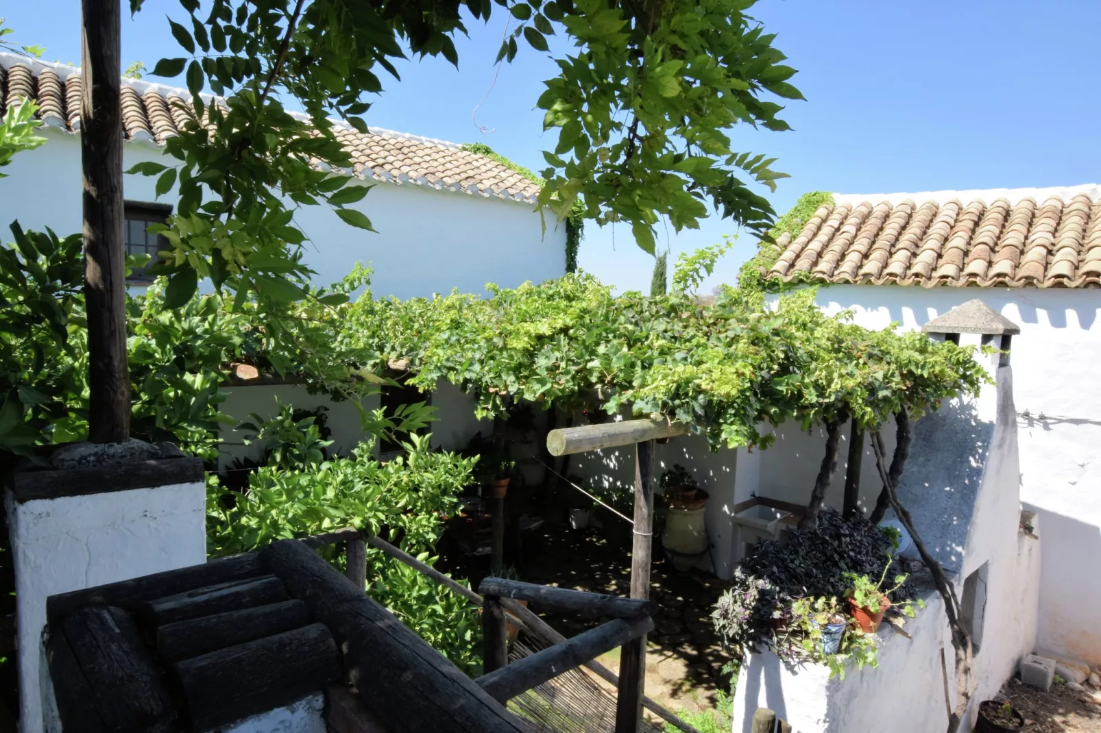 Cortijo El Morron - Tuinen zomer