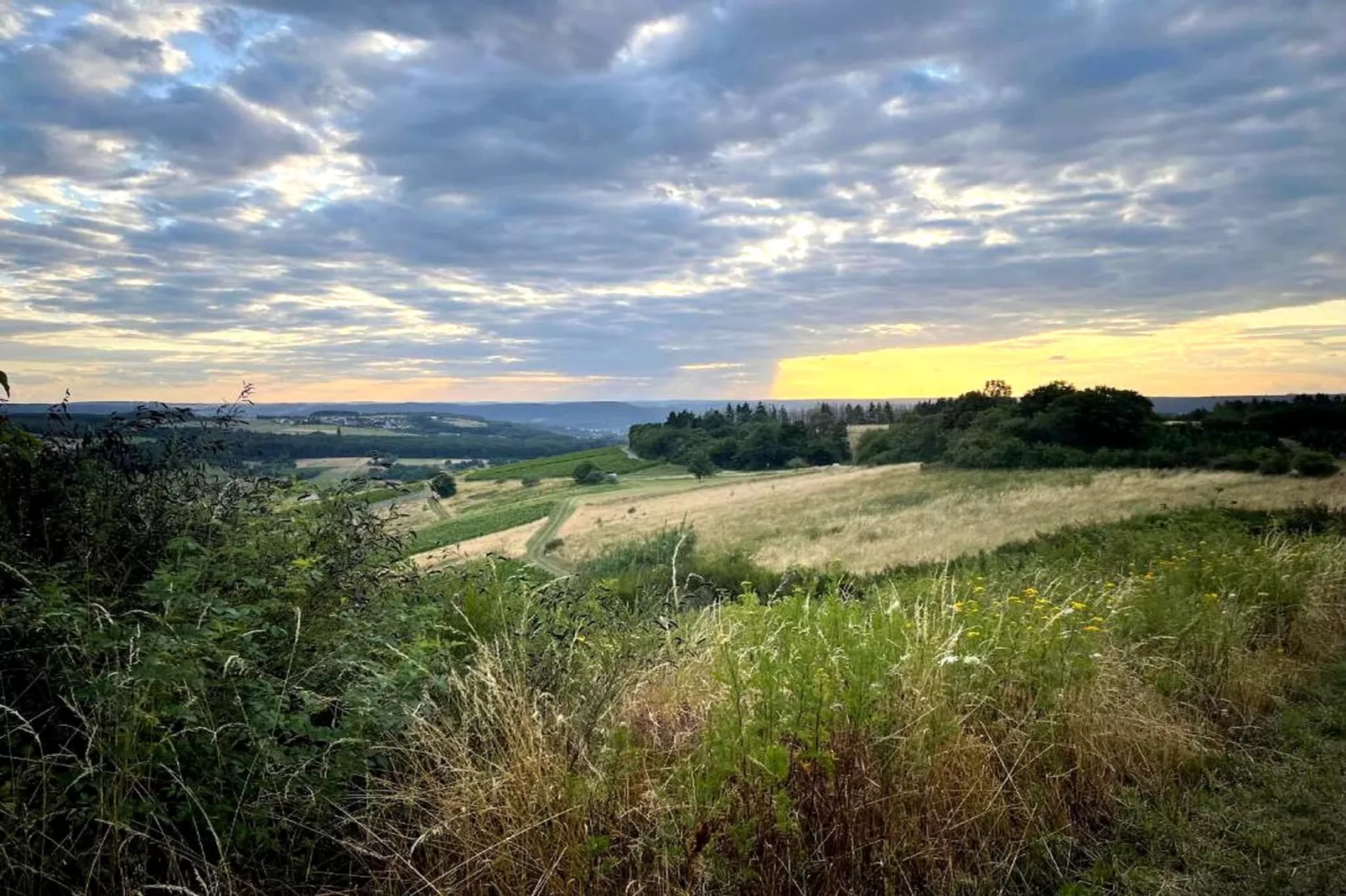 KN 16 Ferienhaus Sonnentälchen - Gebieden zomer 1km