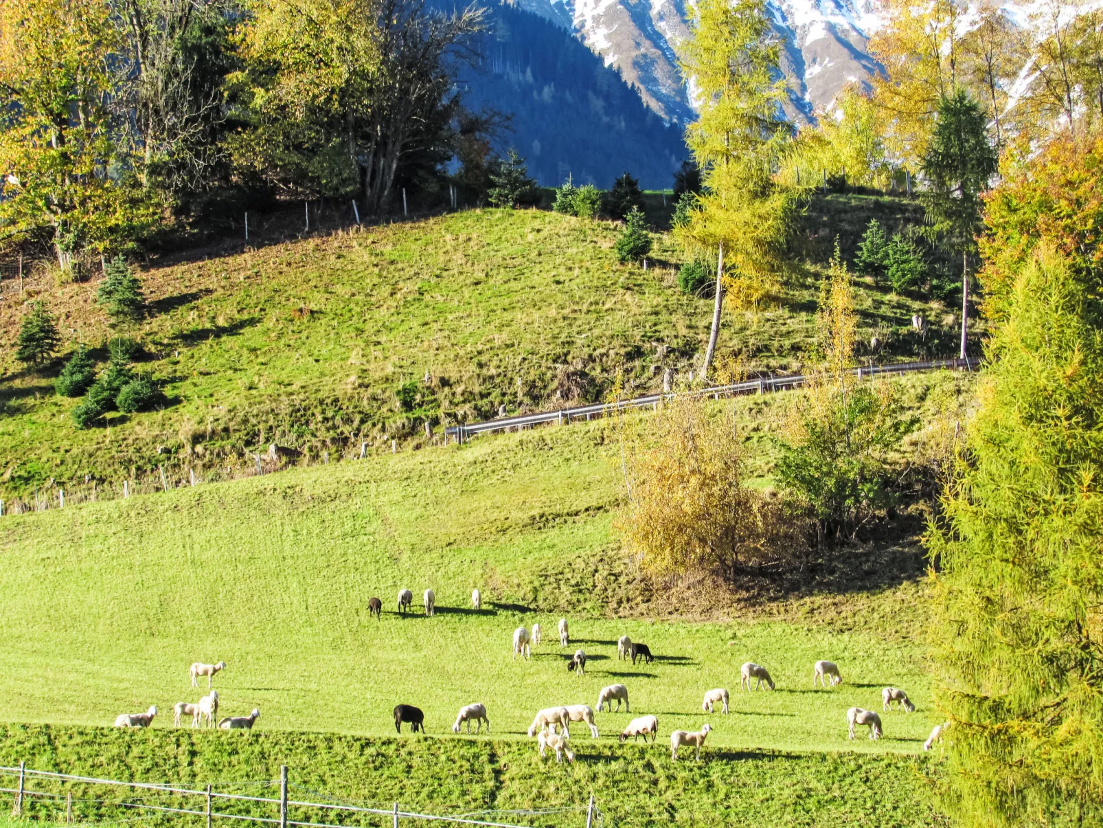 S'Häusl am Gilgahof - Buiten