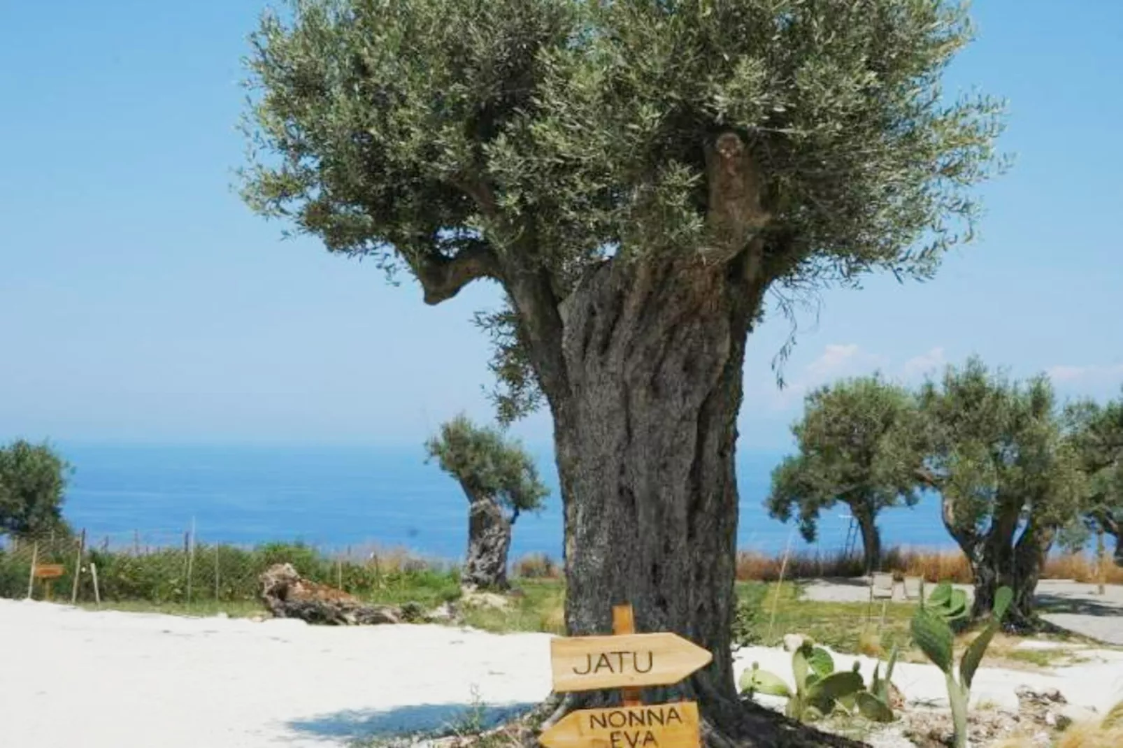 JATU RETREAT - Gebieden zomer 1km