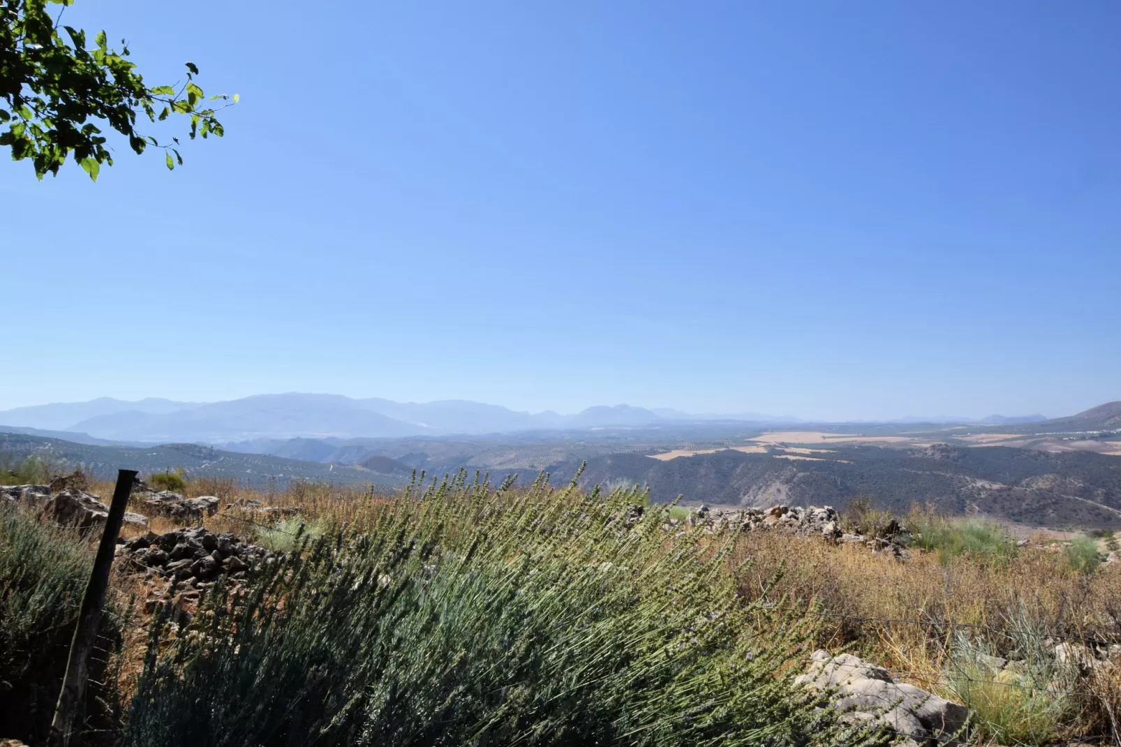 Cortijo El Morron - Uitzicht zomer