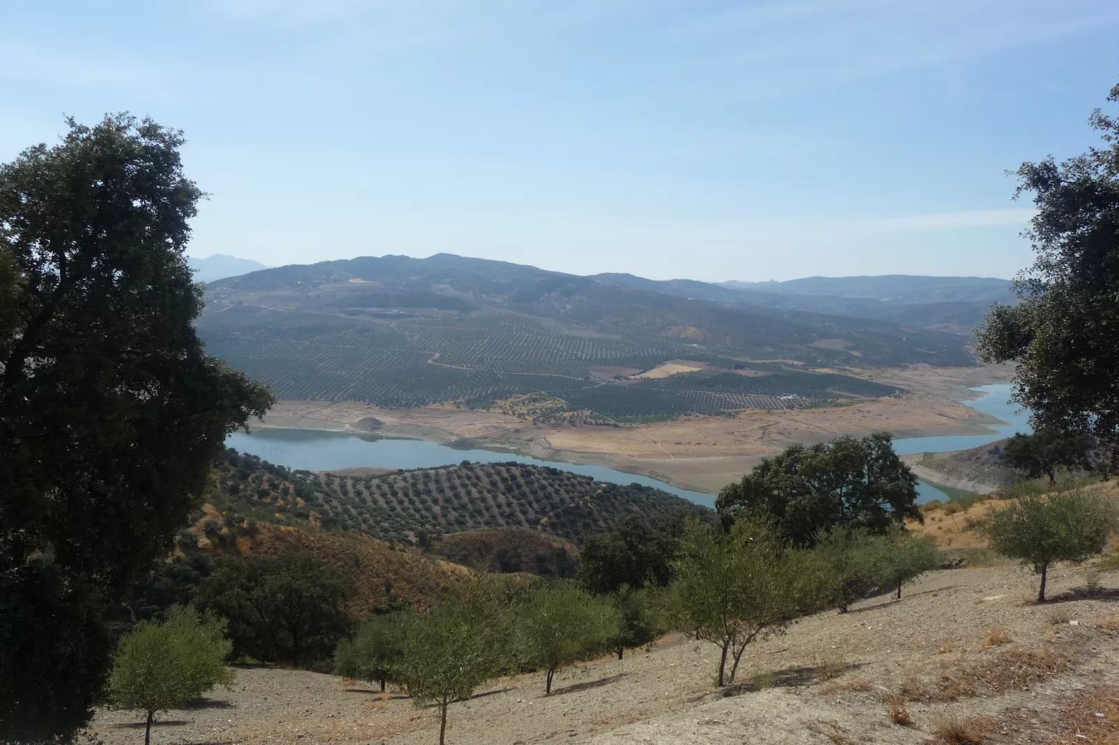 Cortijo El Morron - Gebieden zomer 1km