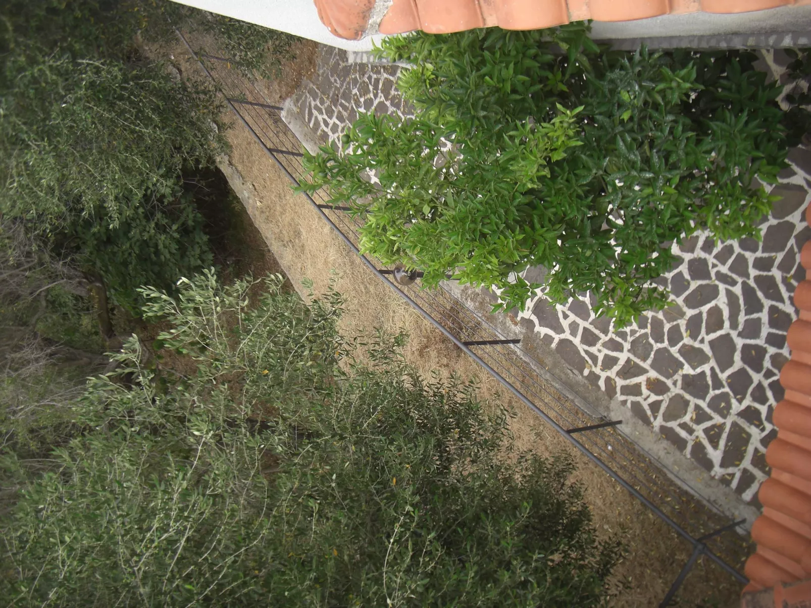 Appartement mit Garten, Terrasse und Grill - Image-tags.info