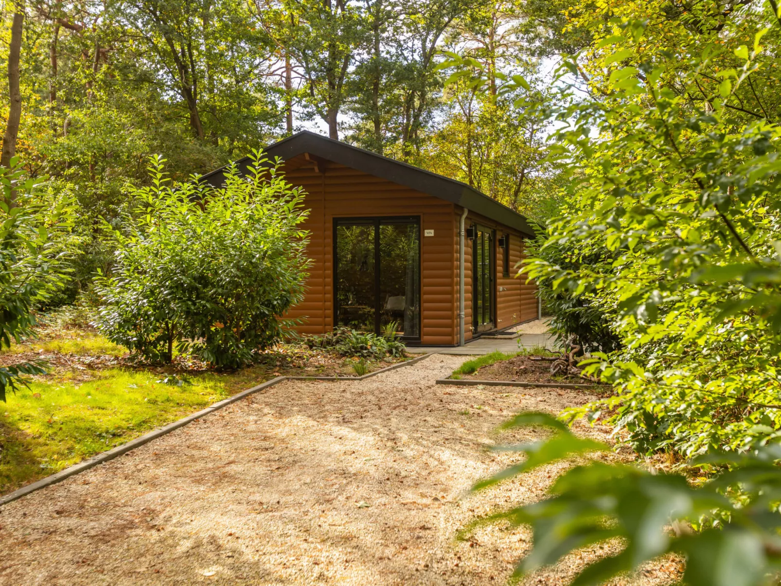 Vakantiepark De Wiltzangh - Sterrenborg Lodge