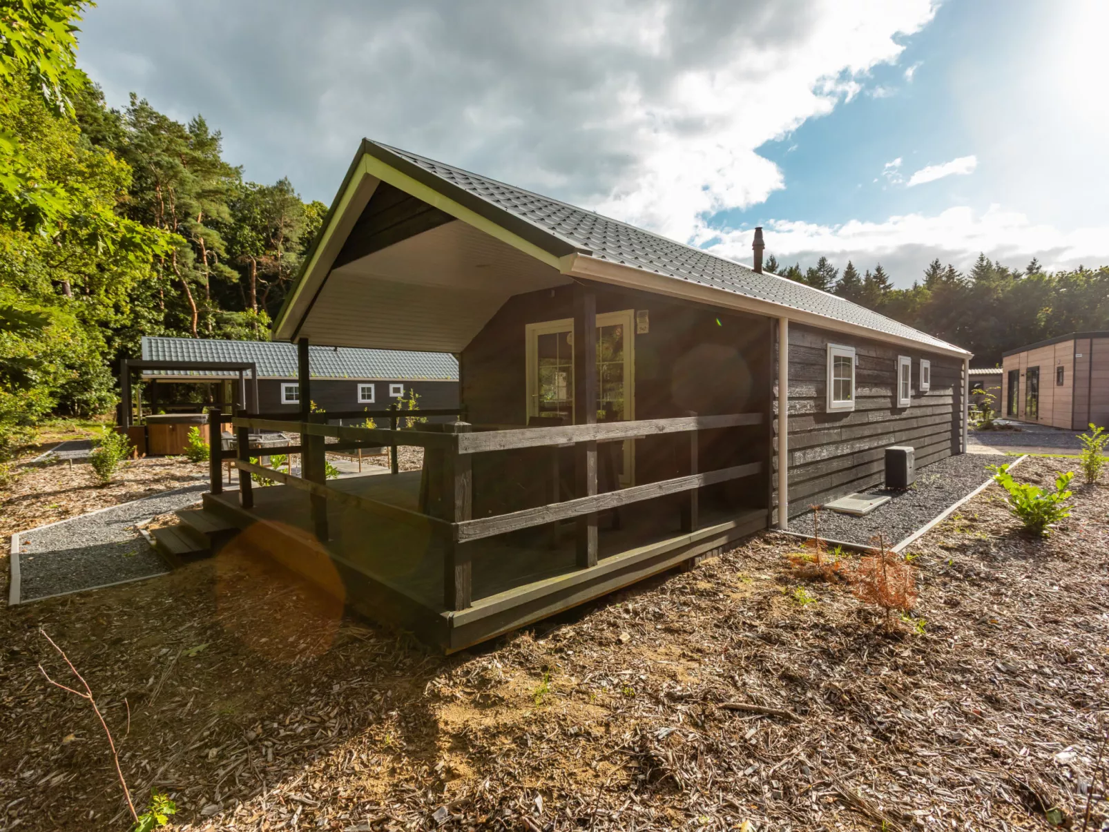 Vakantiepark De Wiltzangh - Veenborg Lodge