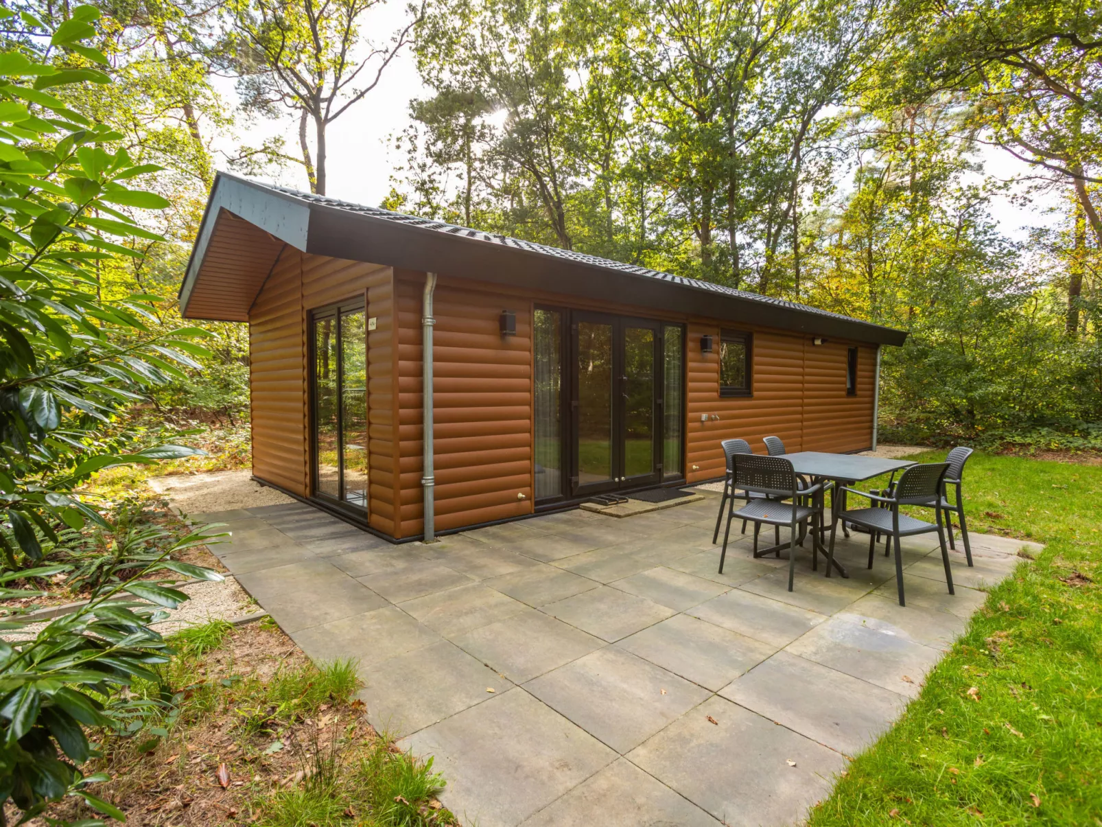 Vakantiepark De Wiltzangh - Sterrenborg Lodge