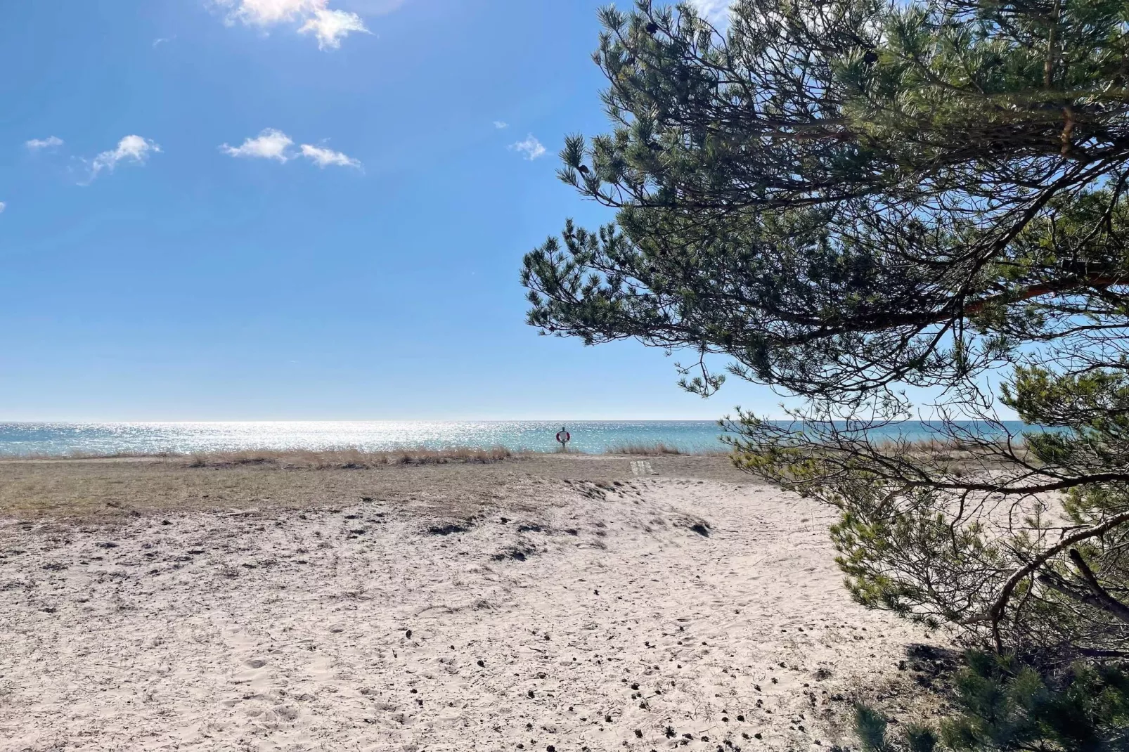 5 sterren vakantie huis in Gotlands Tofta - Niet-getagd