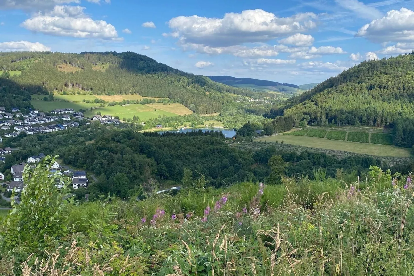 Studio Am Eschenberg 5-Uitzicht zomer