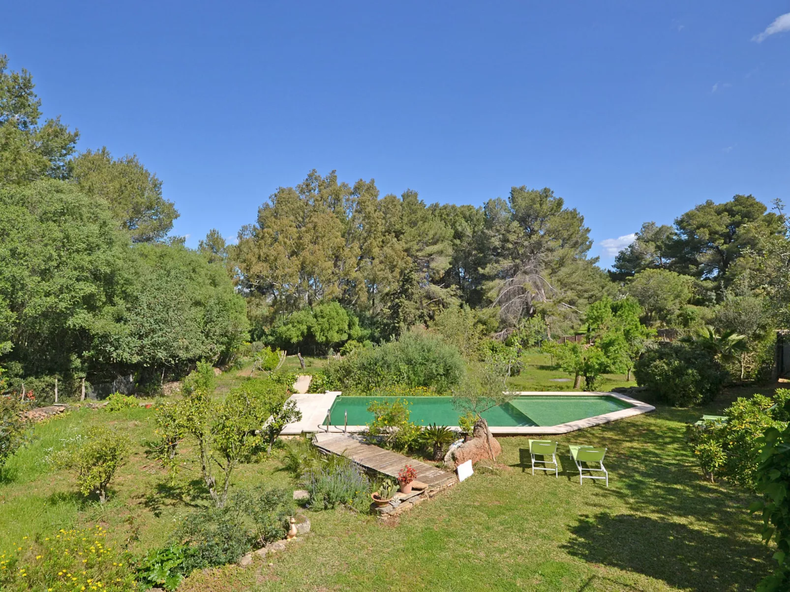 Spiros &quot-Camp Roig&quot-