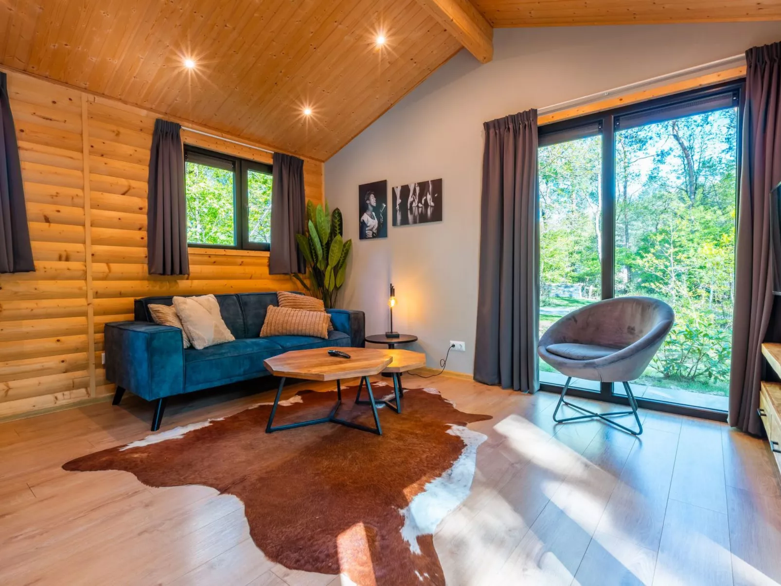 Vakantiepark De Wiltzangh - Sterrenborg Lodge - Binnen