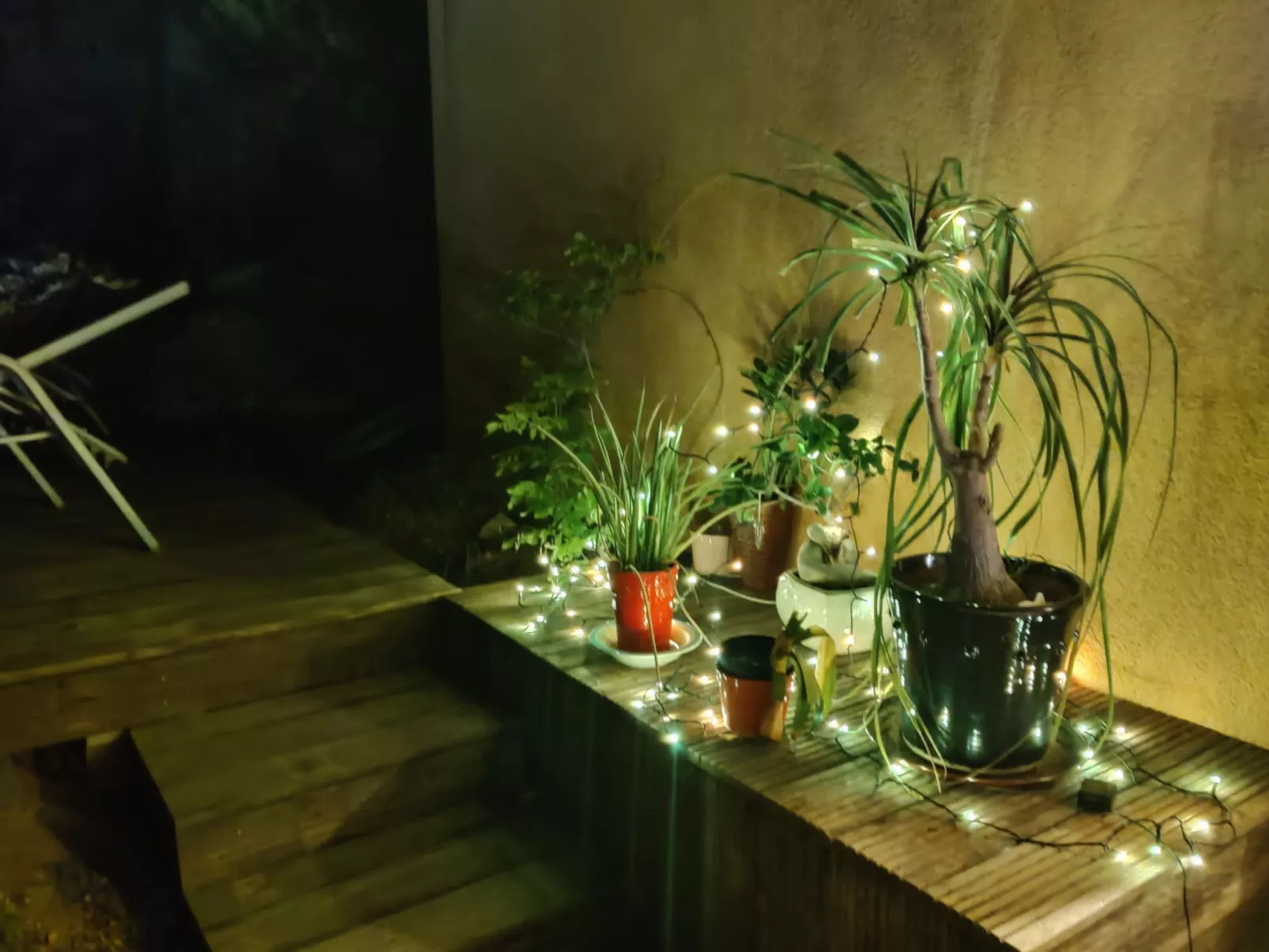 Villa Perroquet - Buiten