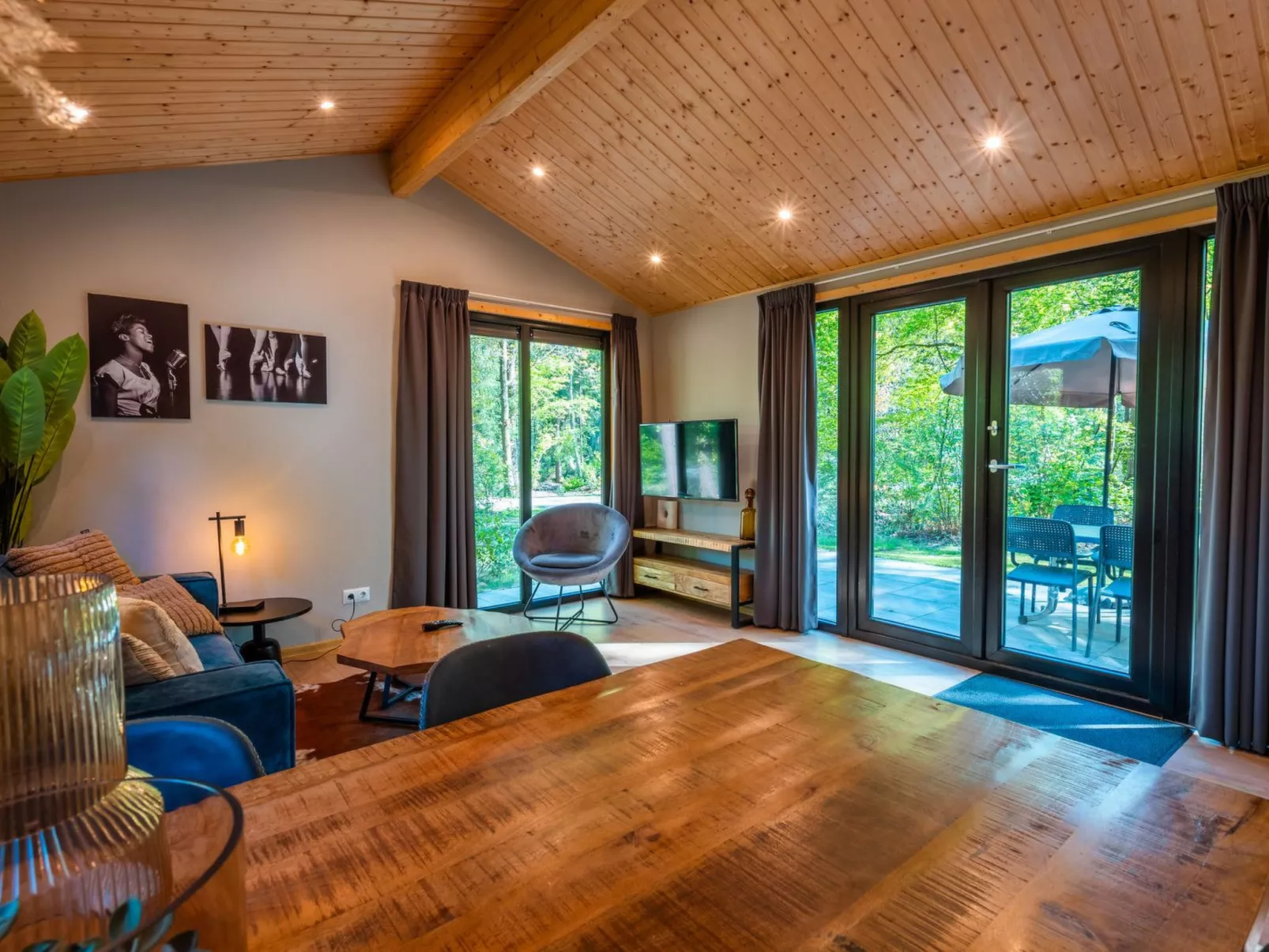 Vakantiepark De Wiltzangh - Sterrenborg Lodge - Binnen