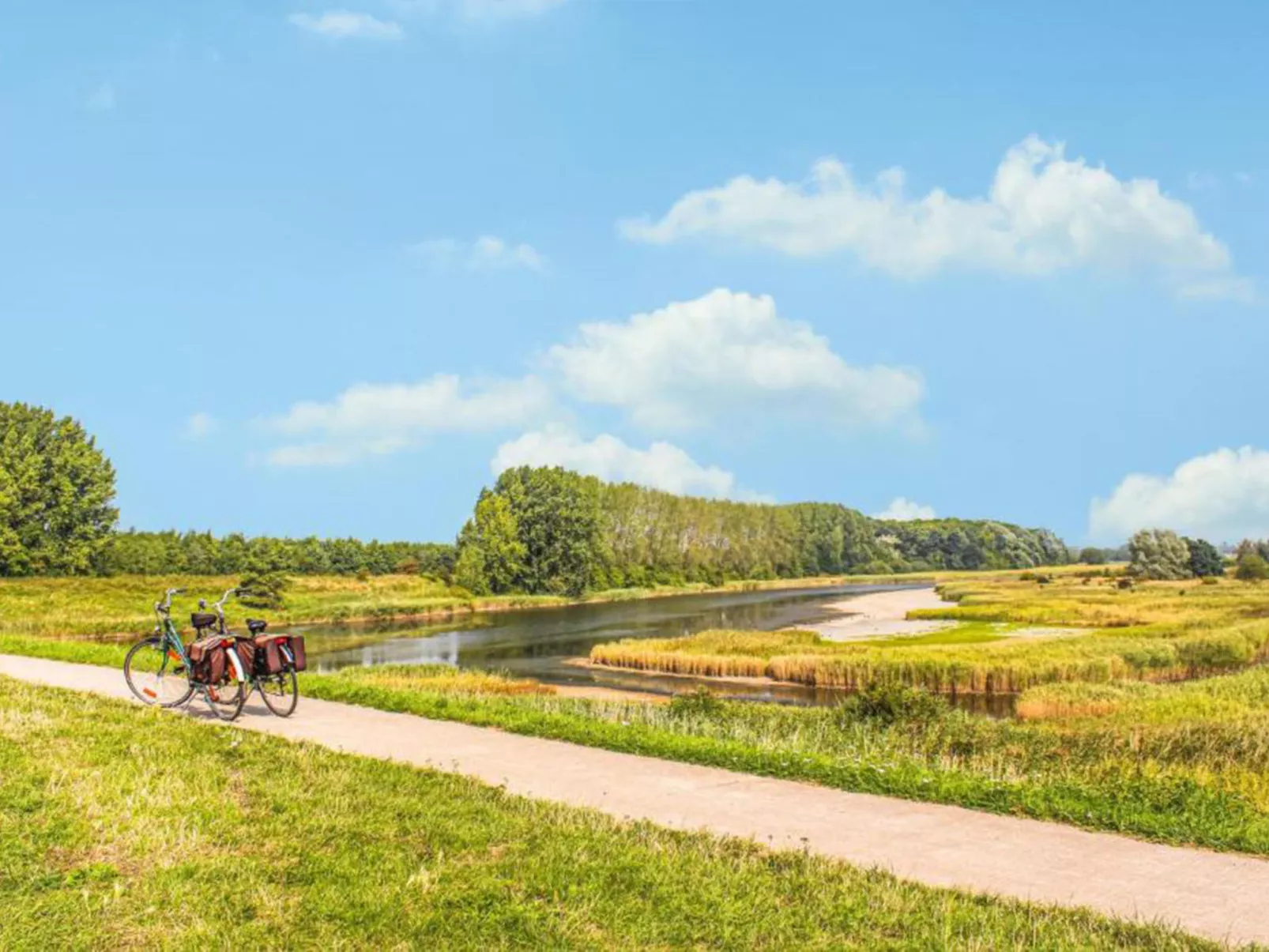 Vakantiepark de Zeeuwse Parel - De Witte Parel - Buiten