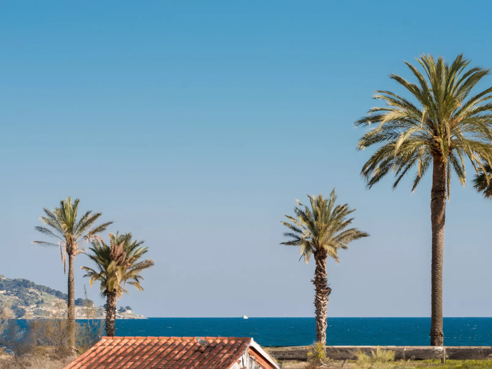 WELCS APARTAMENTO 224 EMP con TERRAZA - Buiten