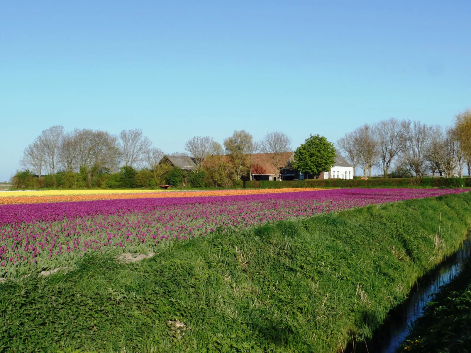 Camping Hofstede Zonnevliet - Zeeuwse Knoop - Buiten