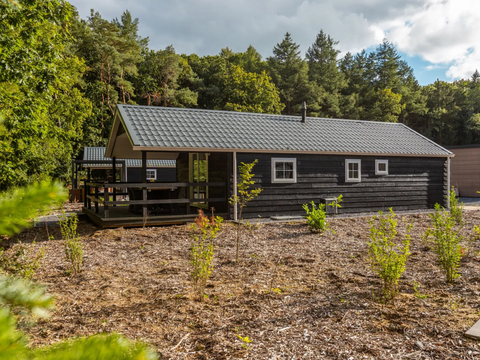 Vakantiepark De Wiltzangh - Veenborg Lodge - Buiten