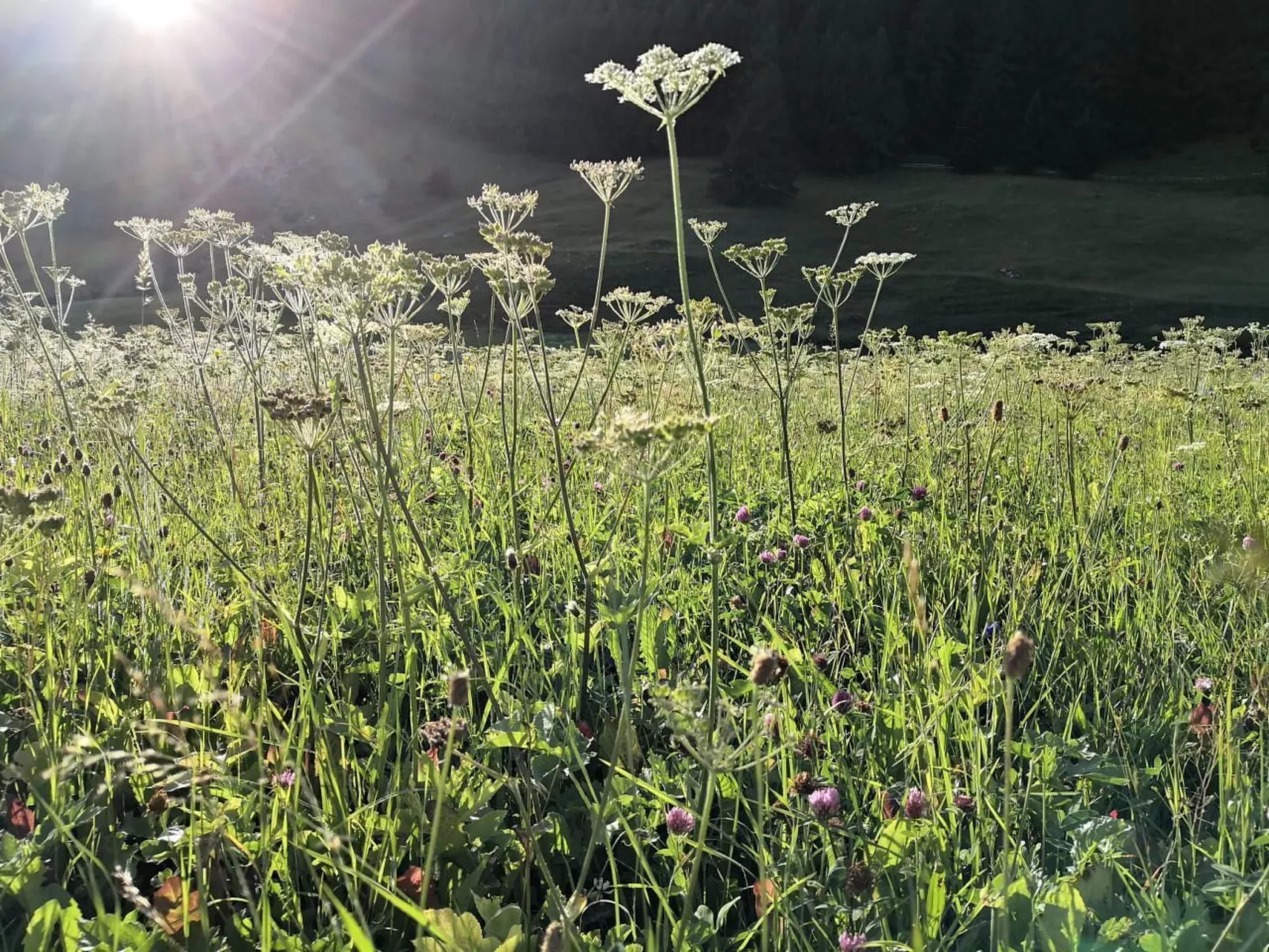 Modernes heimeliges Chalet - Image-tags.info