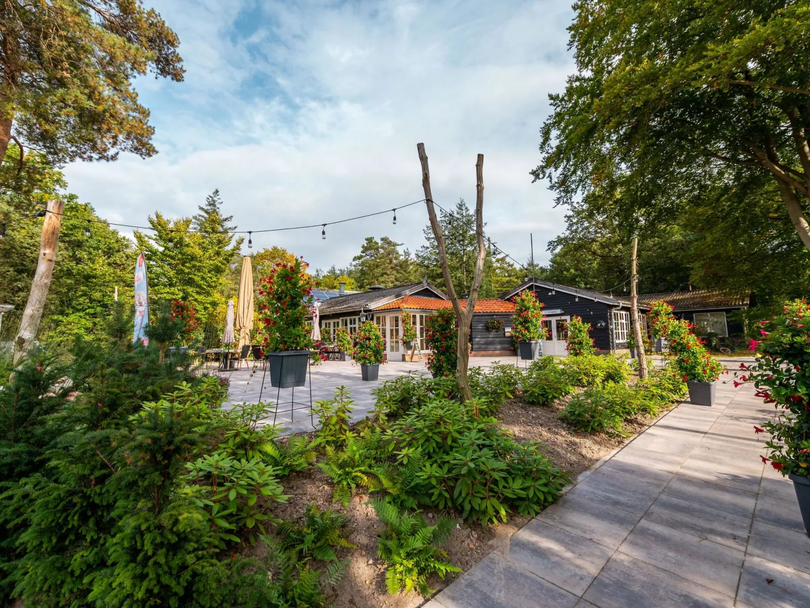 Vakantiepark De Wiltzangh - Zandborg Lodge - Omgeving