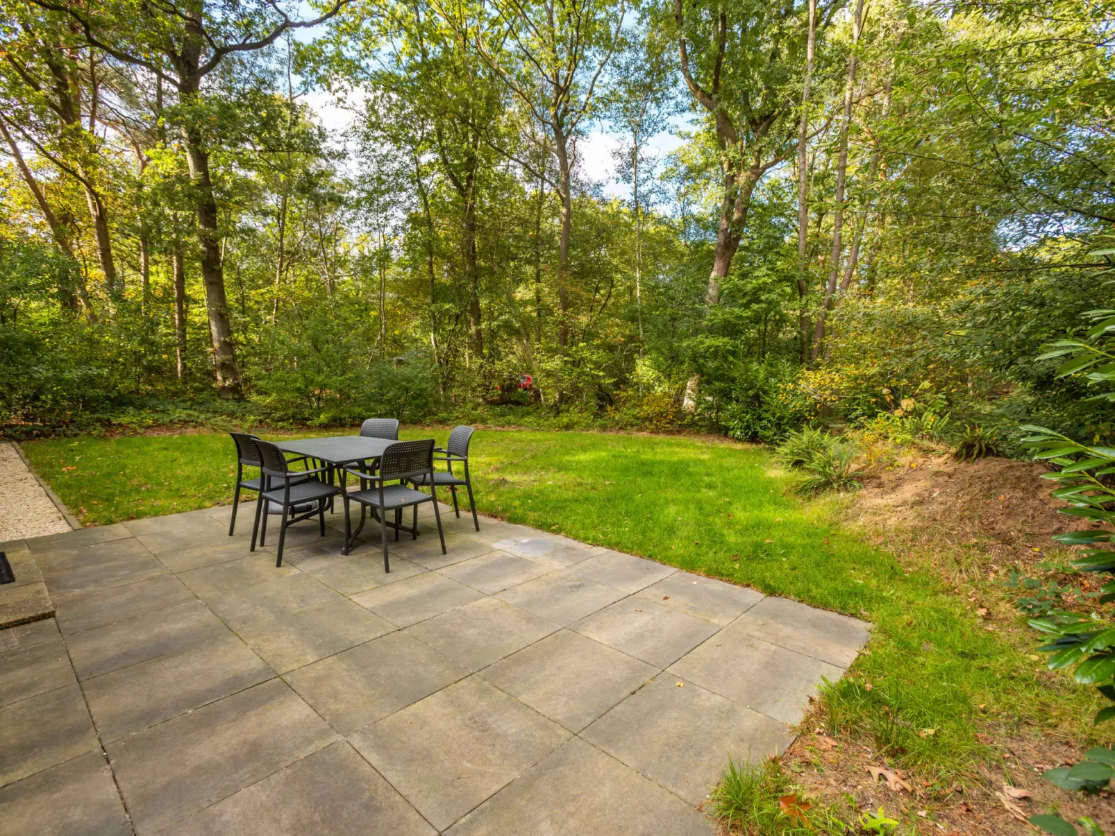 Vakantiepark De Wiltzangh - Sterrenborg Lodge - Buiten