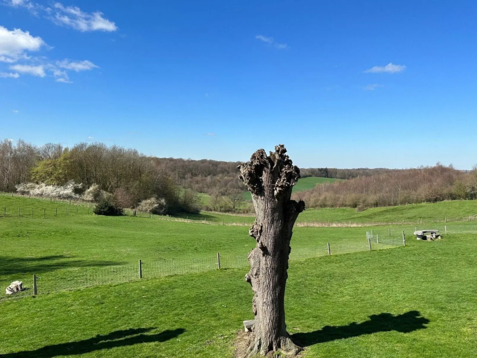 Bungalowpark Landsrade - Geschakelde Bungalow 7 - Buiten