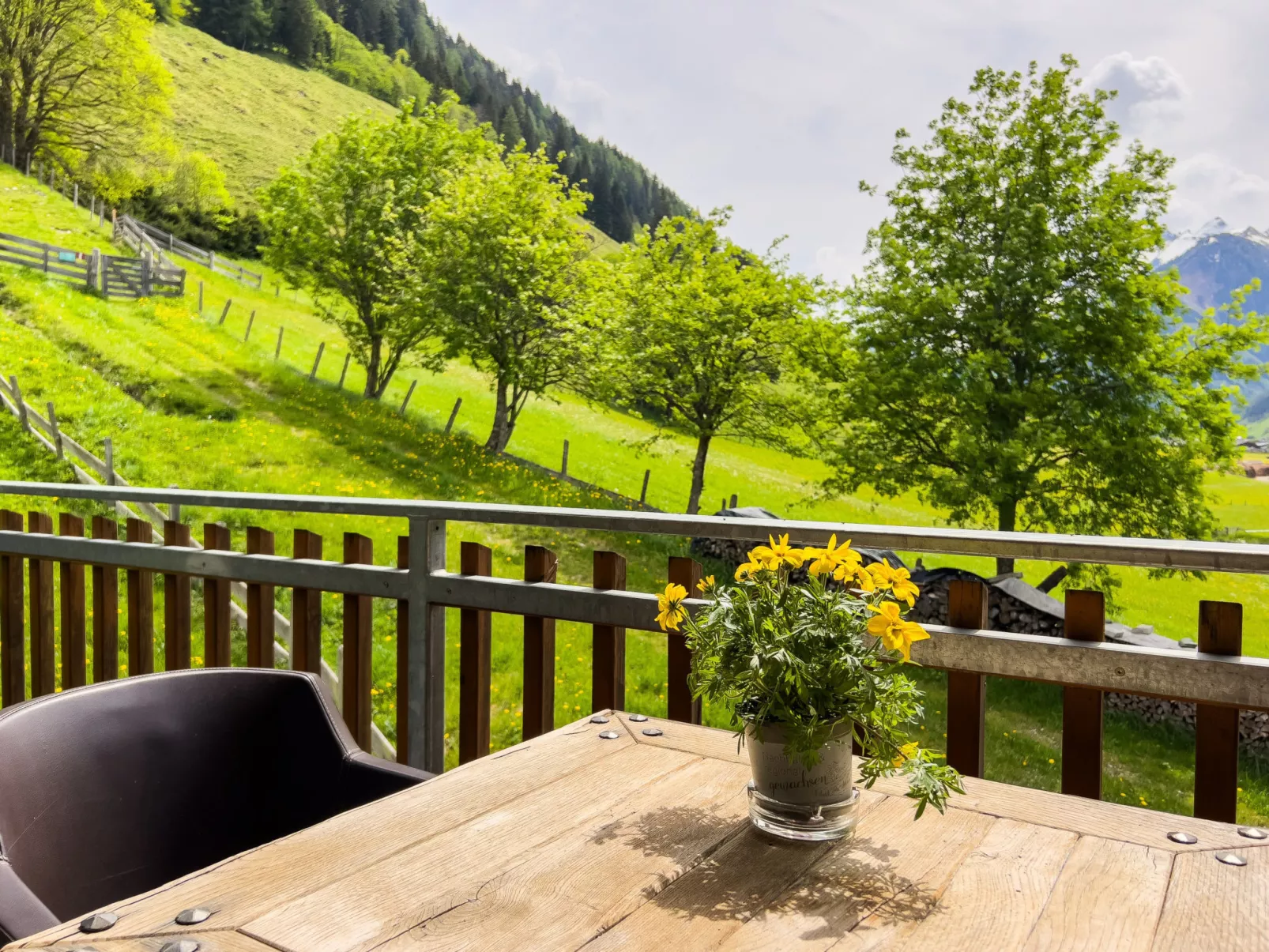 Schönblick - Elisabeth 6 - Buiten