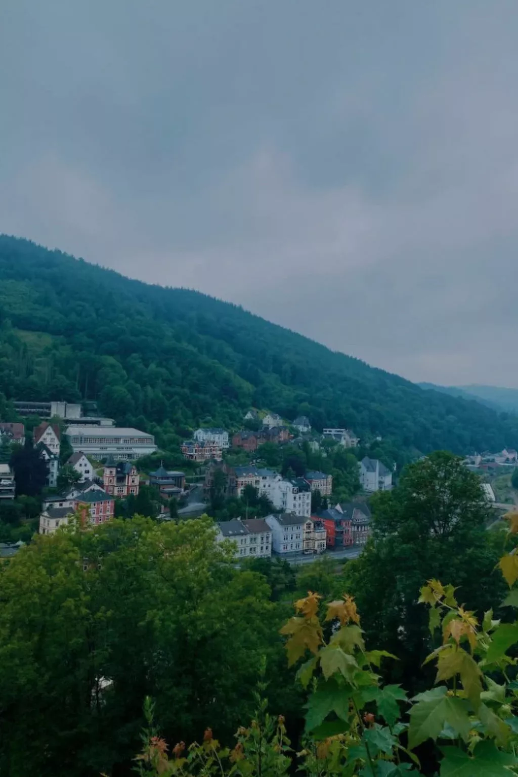 Engelenhof Winterberg - Monica - Buiten