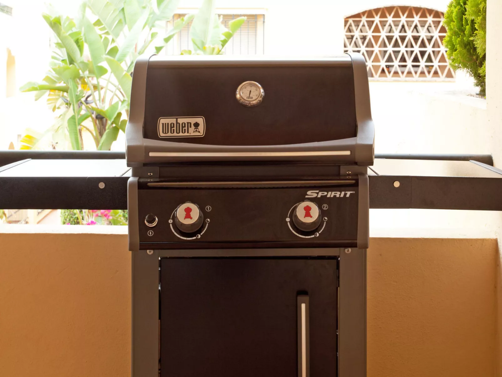 Hacienda Elviria - Buiten