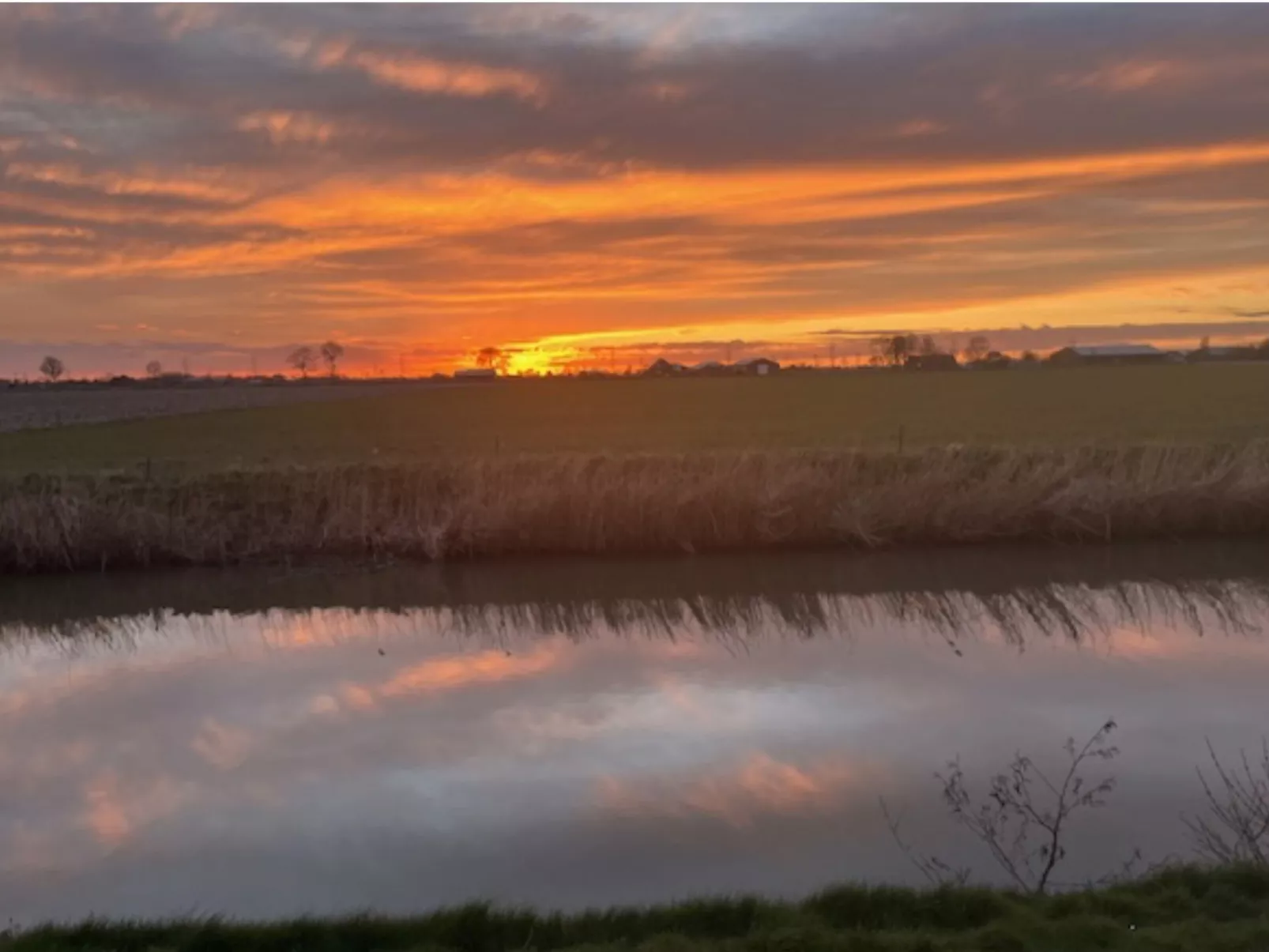 Bungalowpark de Horn - 128 - Buiten