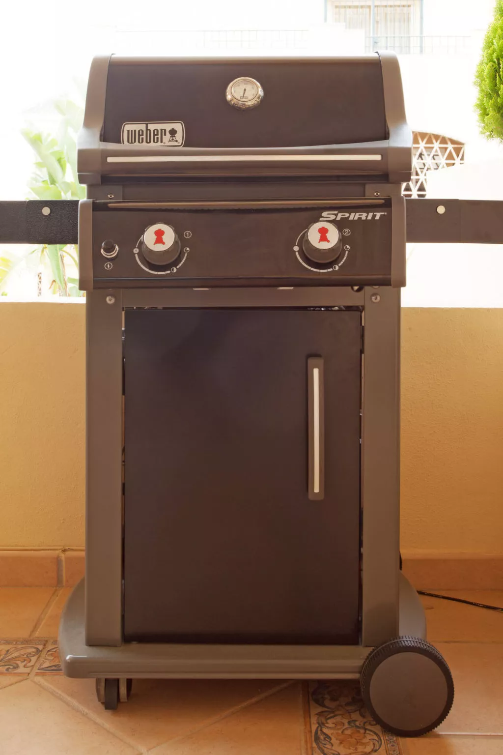 Hacienda Elviria - Buiten