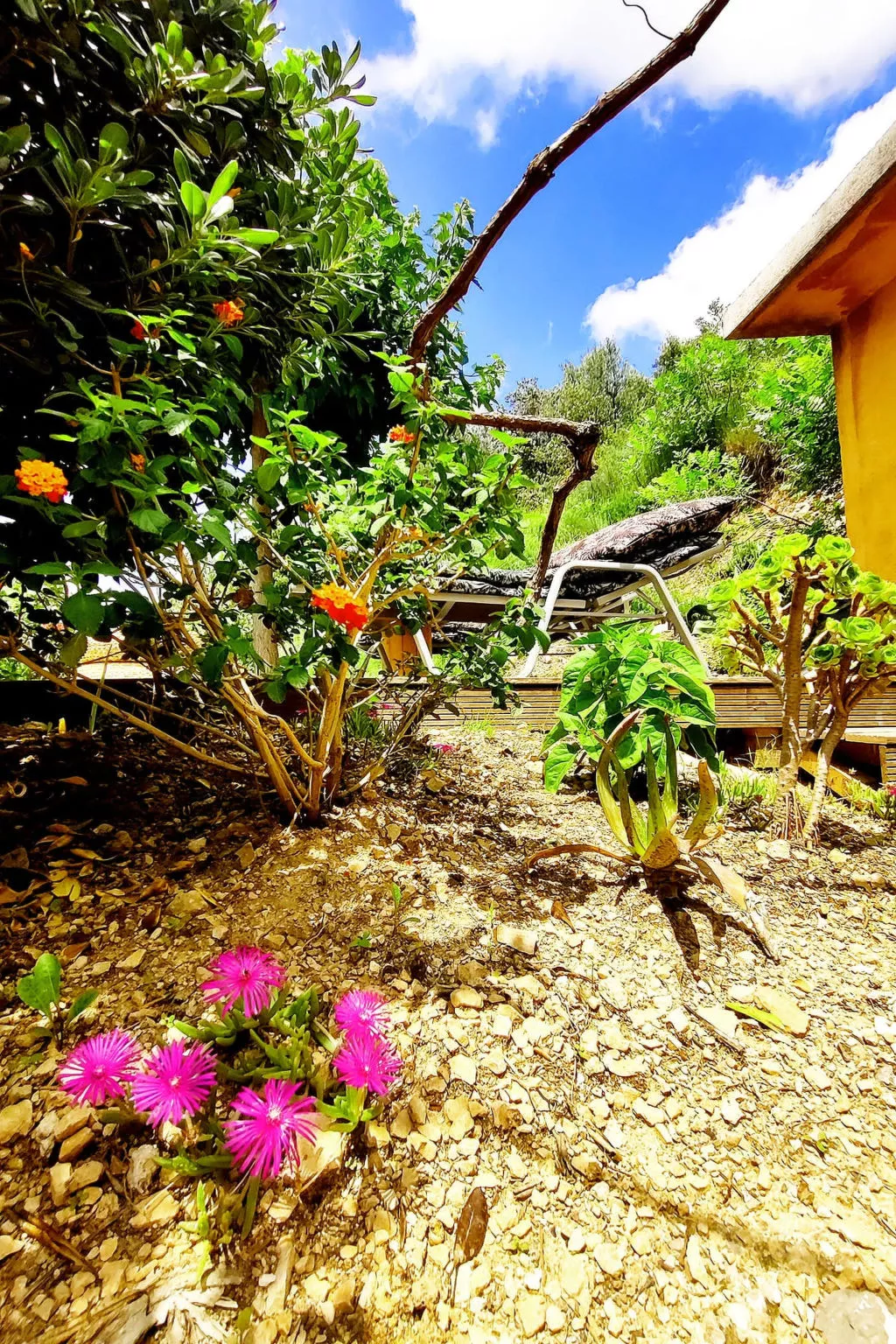 Villa Perroquet - Buiten