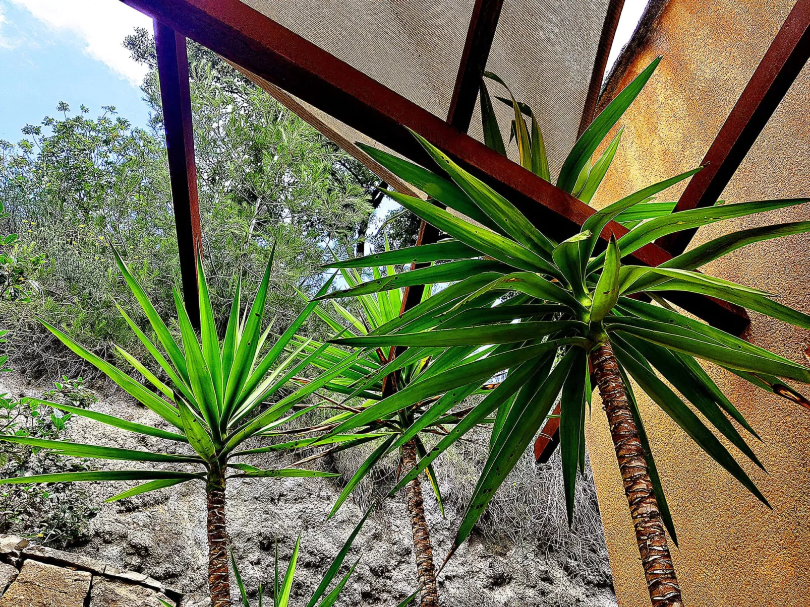 Villa Perroquet - Buiten