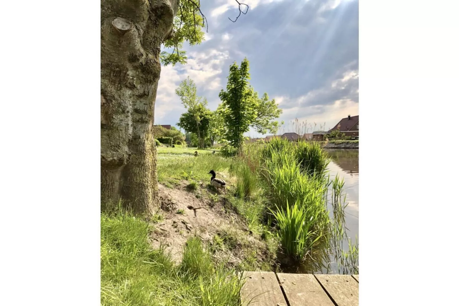311008 - Uitzicht