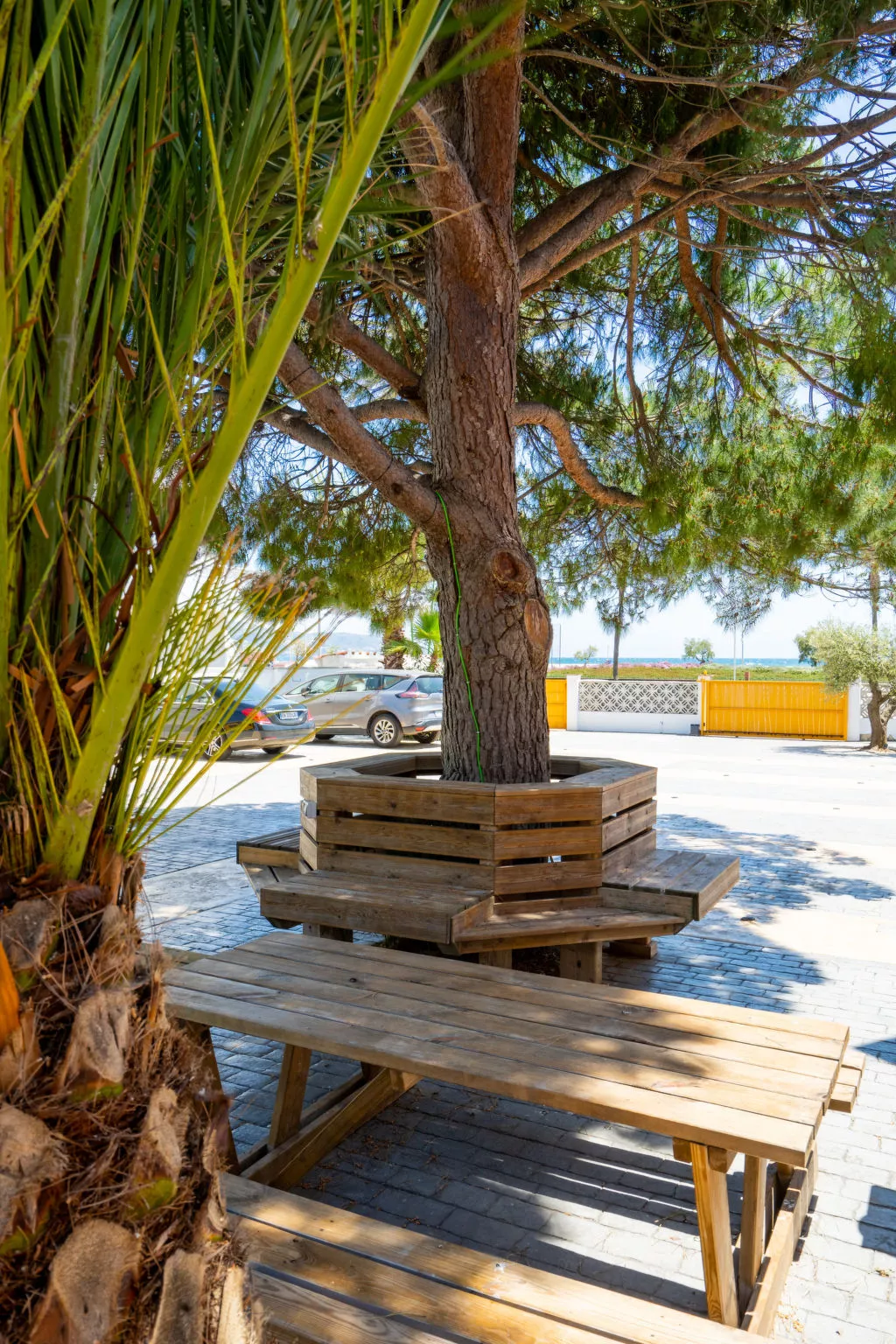 La Vida Sin Limites E EMP - Buiten