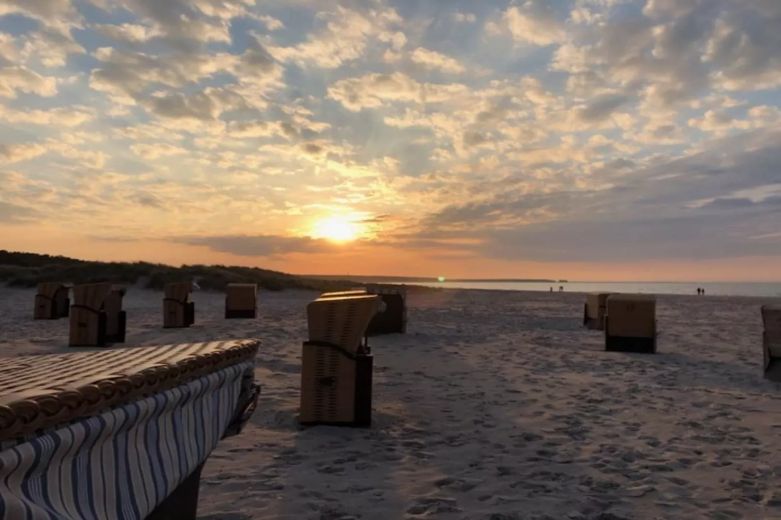 Doppelhaushälfte Zingst-Haus Paradise - Gebieden zomer 1km