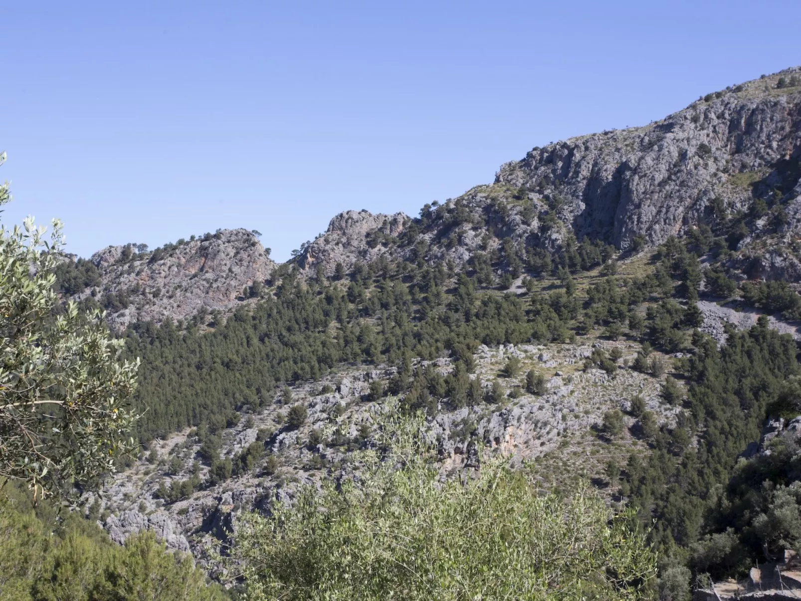 VILLA ES COCO SOLLER - Buiten