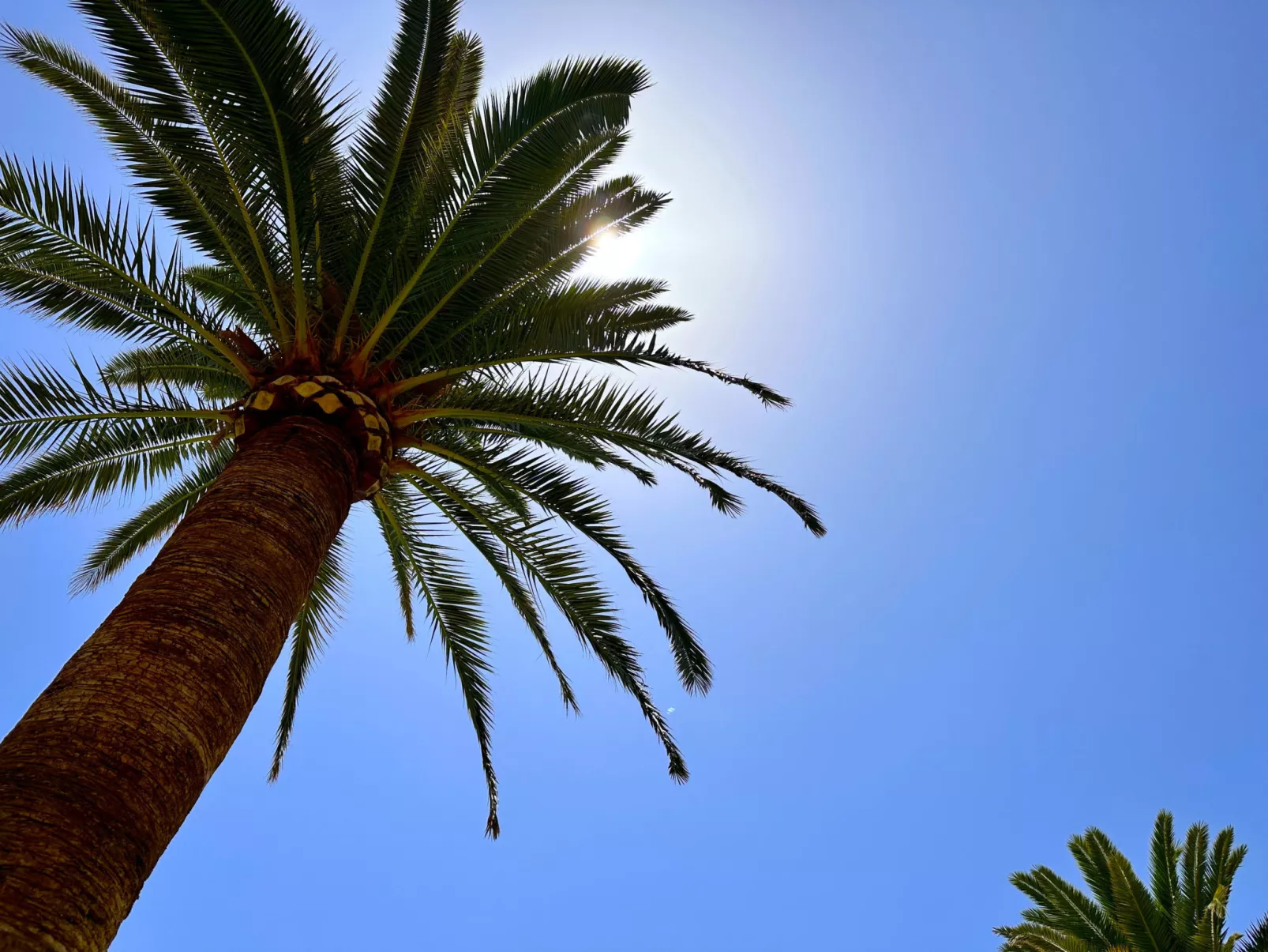 Carabeo 26 Boutique Studio by Casasol - Buiten