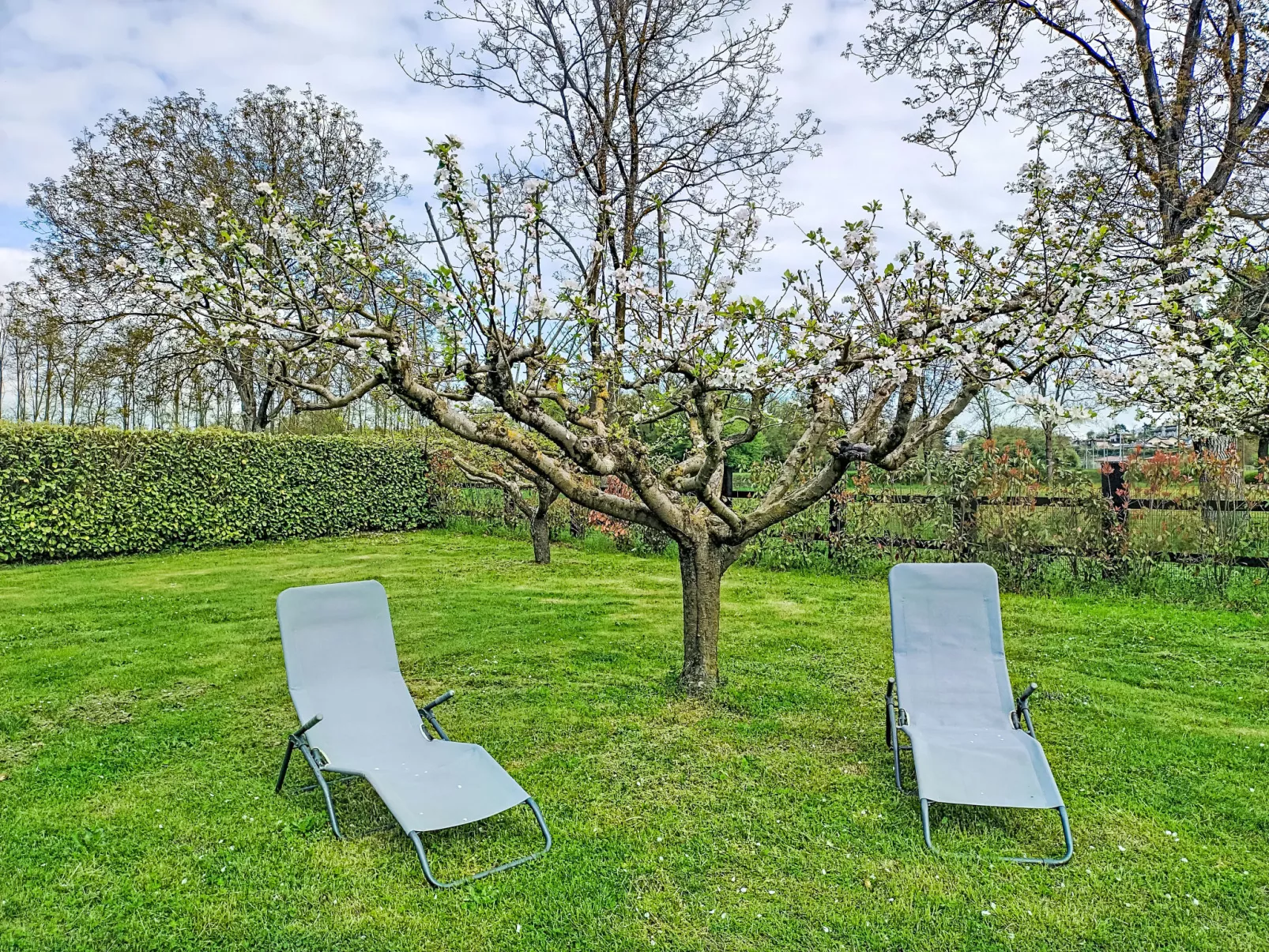 Il Molino Antico - Buiten