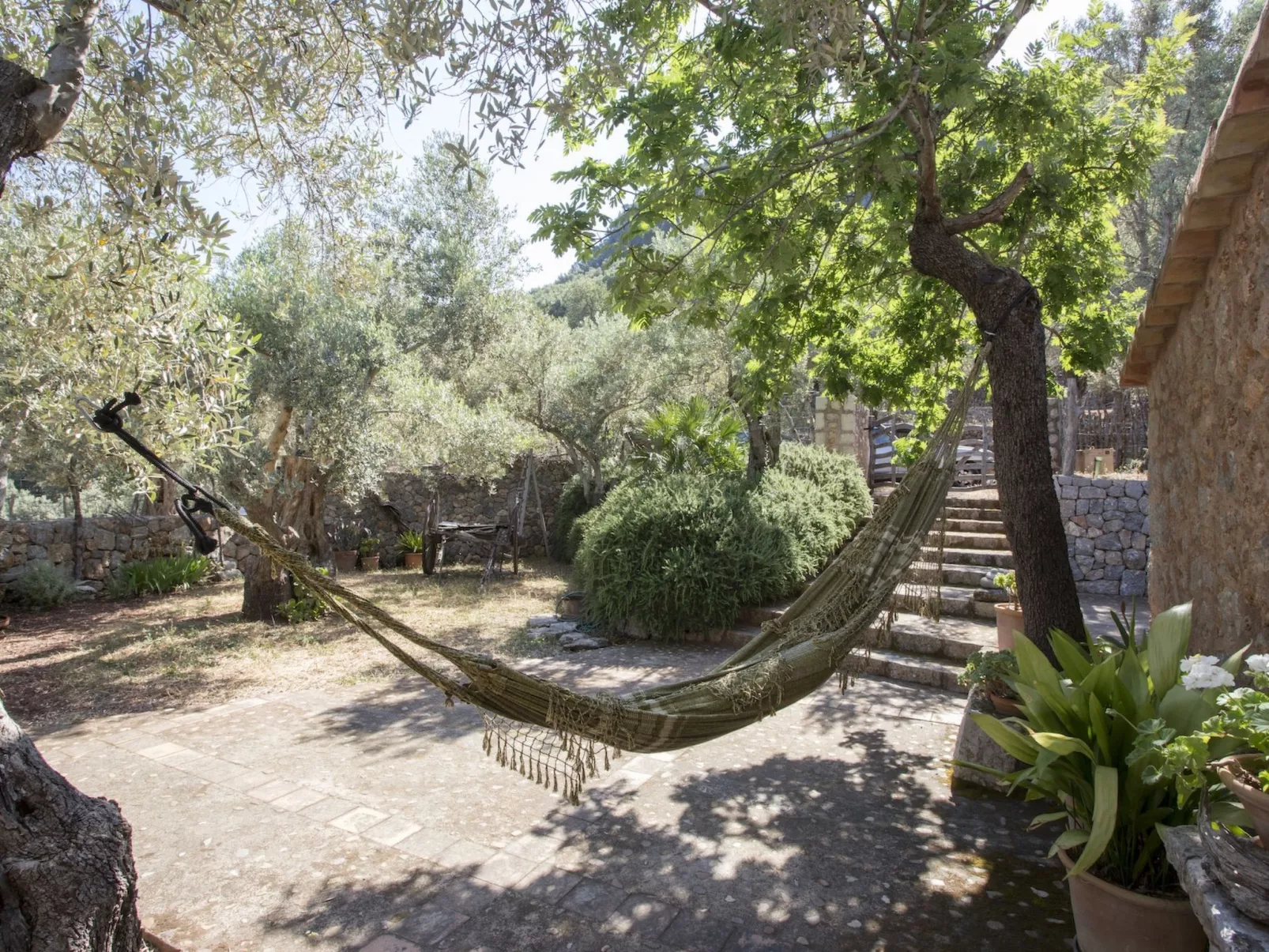 VILLA ES COCO SOLLER - Buiten