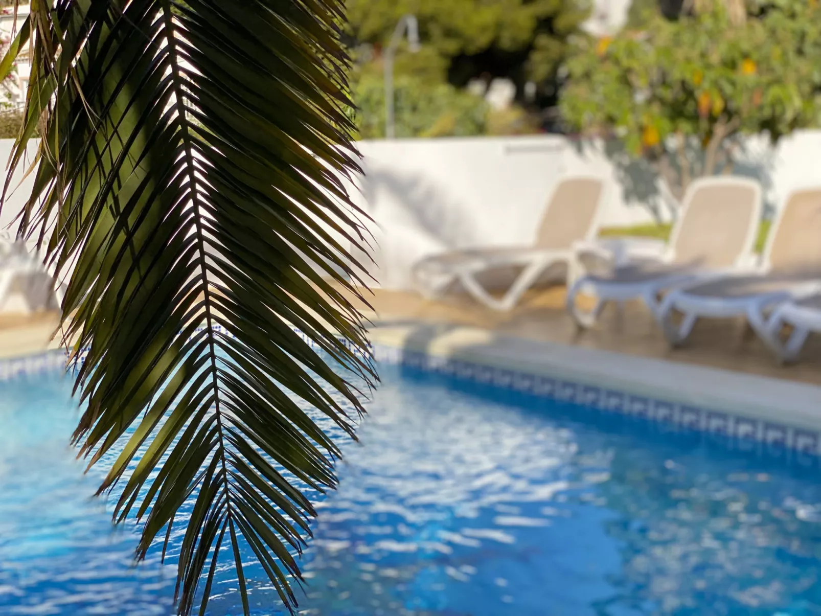 Villa Sandra Al Fresco Apartment by Casasol - Buiten