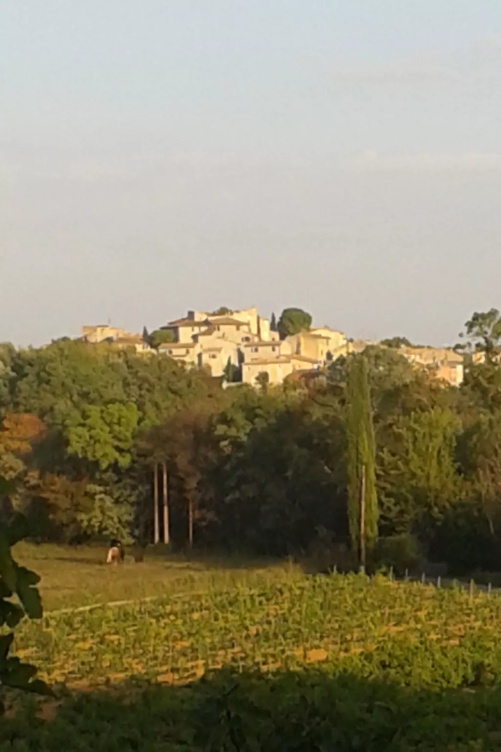 LA CADENIERE - Buiten