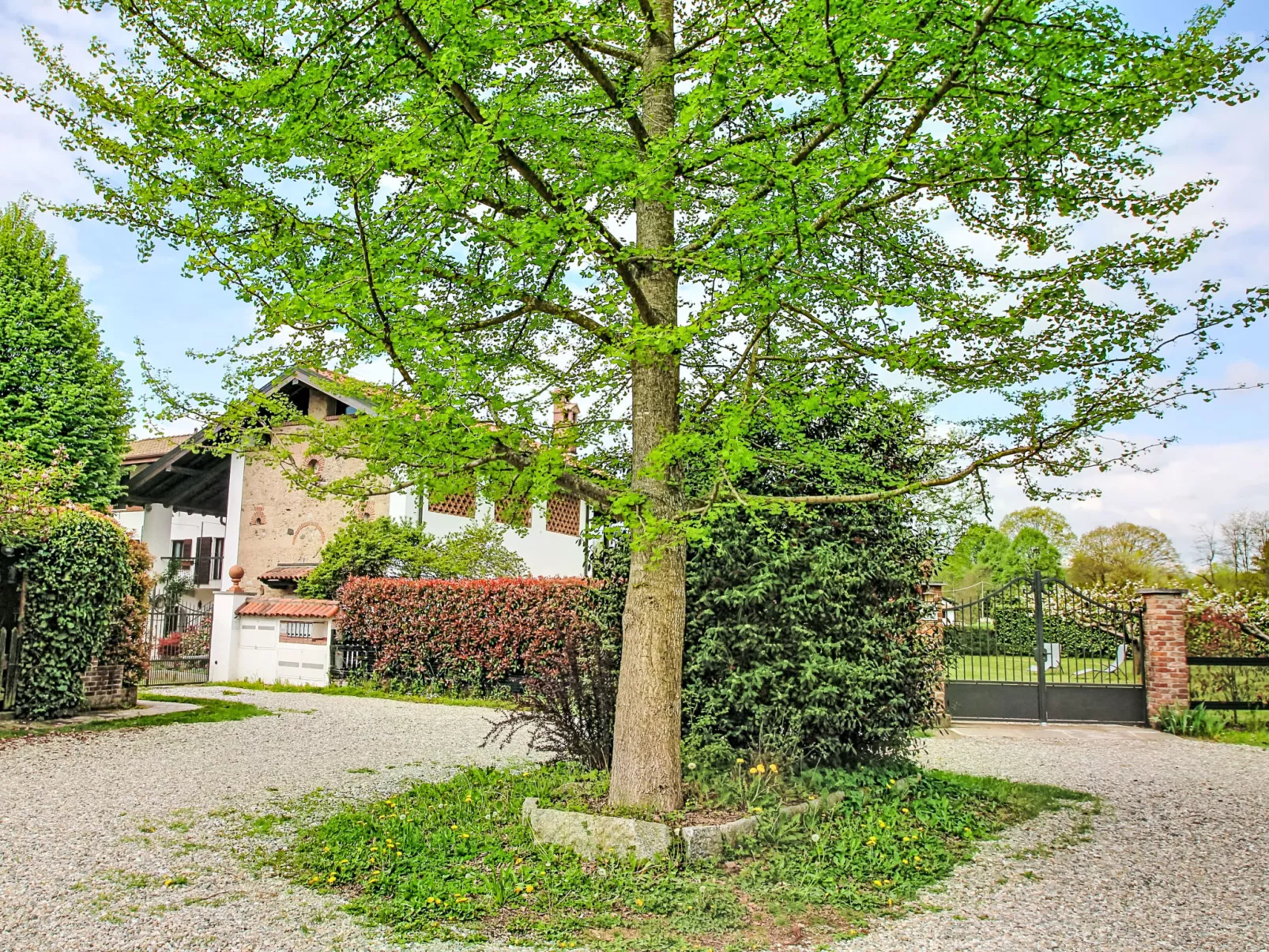 Il Molino Antico - Buiten