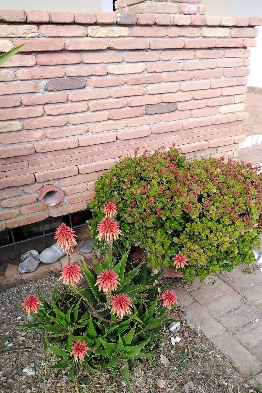 Appartement in Caprioli mit Garten, Terrasse und Grill - Image-tags.info