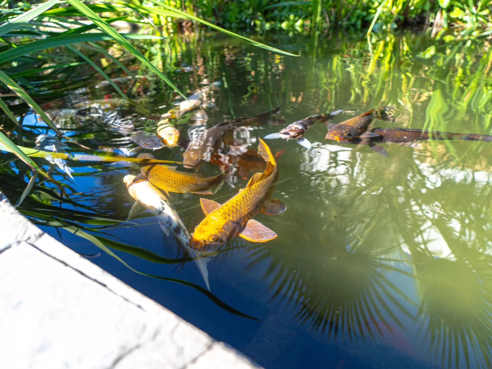 Casablanca Sunny Terrace by Casasol - Buiten