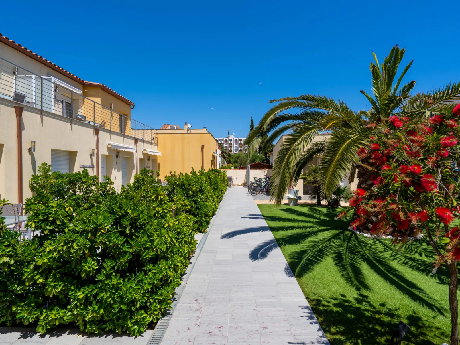 La Vida Sin Limites I EMP - Buiten