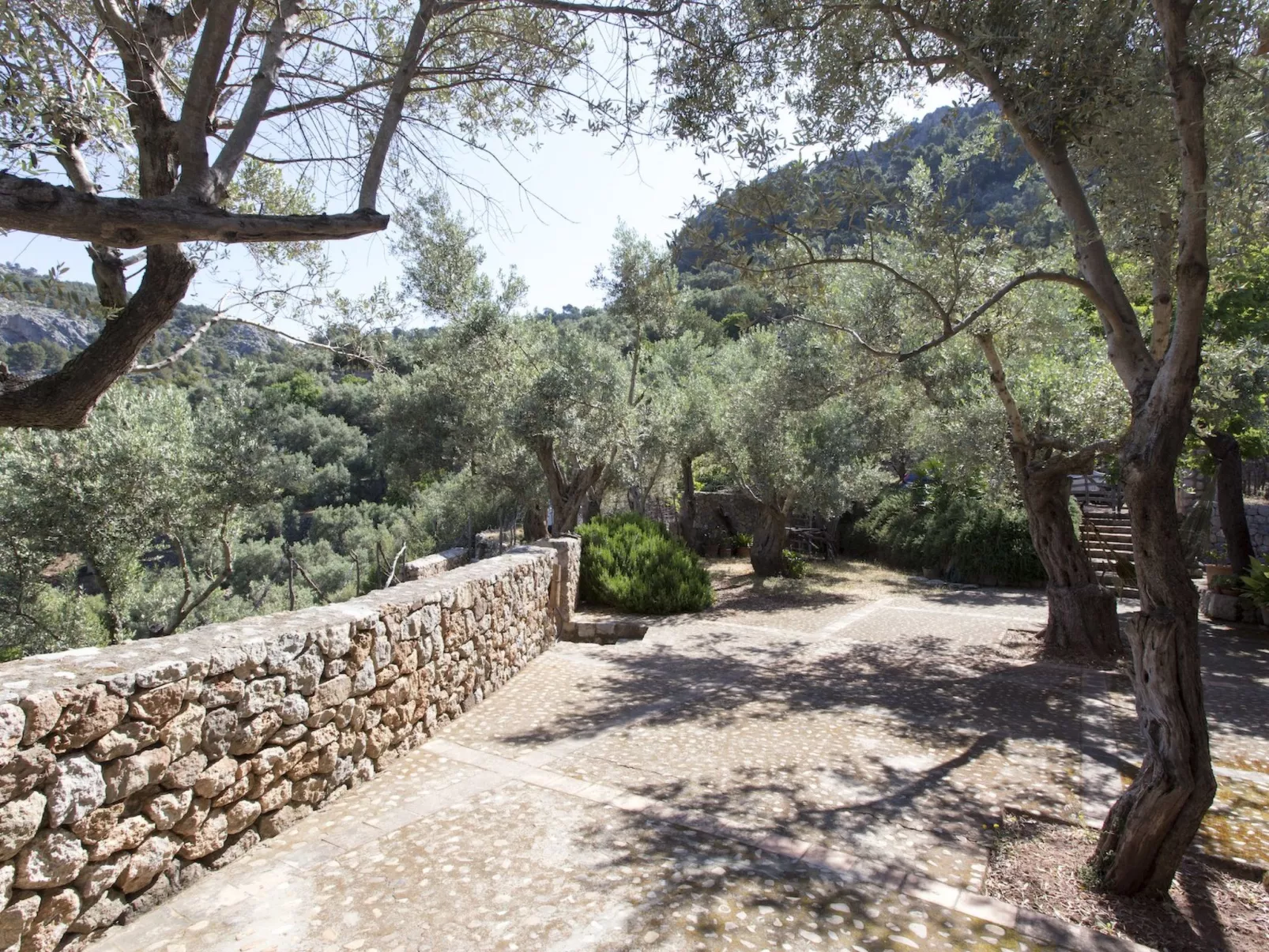 VILLA ES COCO SOLLER - Buiten