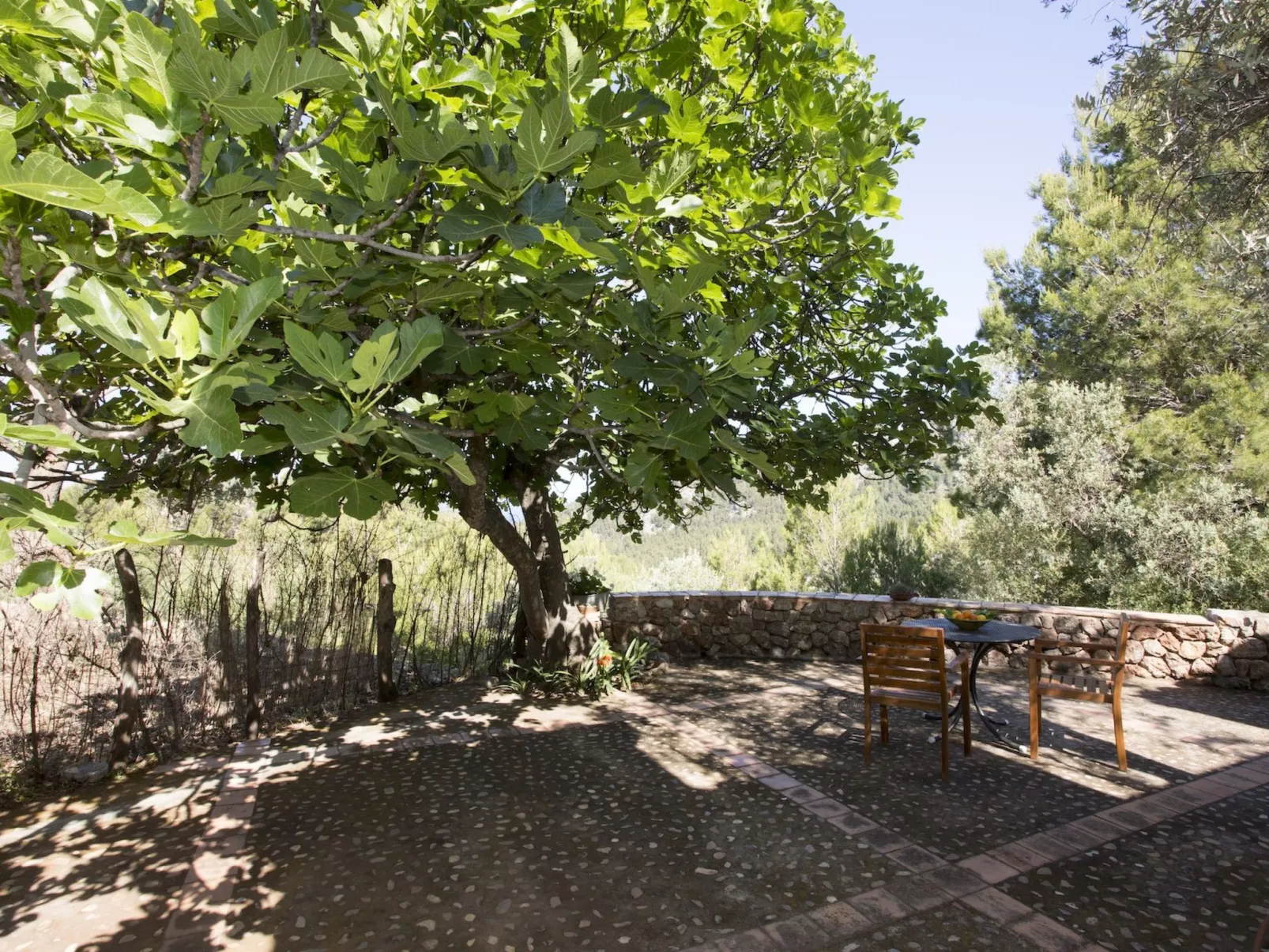 VILLA ES COCO SOLLER - Buiten