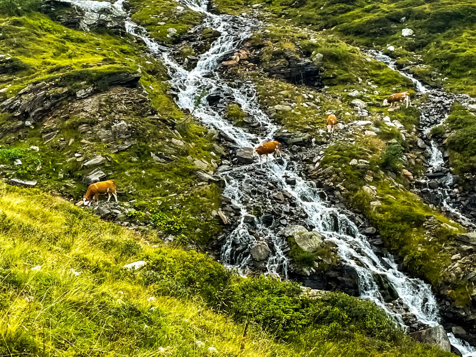 Schönblick - Daniela1 - Buiten