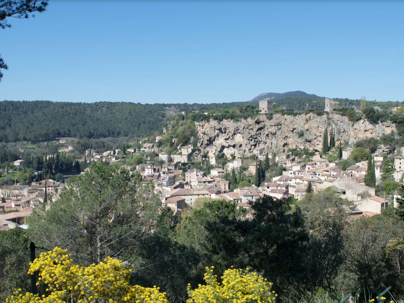 LES 2 PALMIERS - Buiten